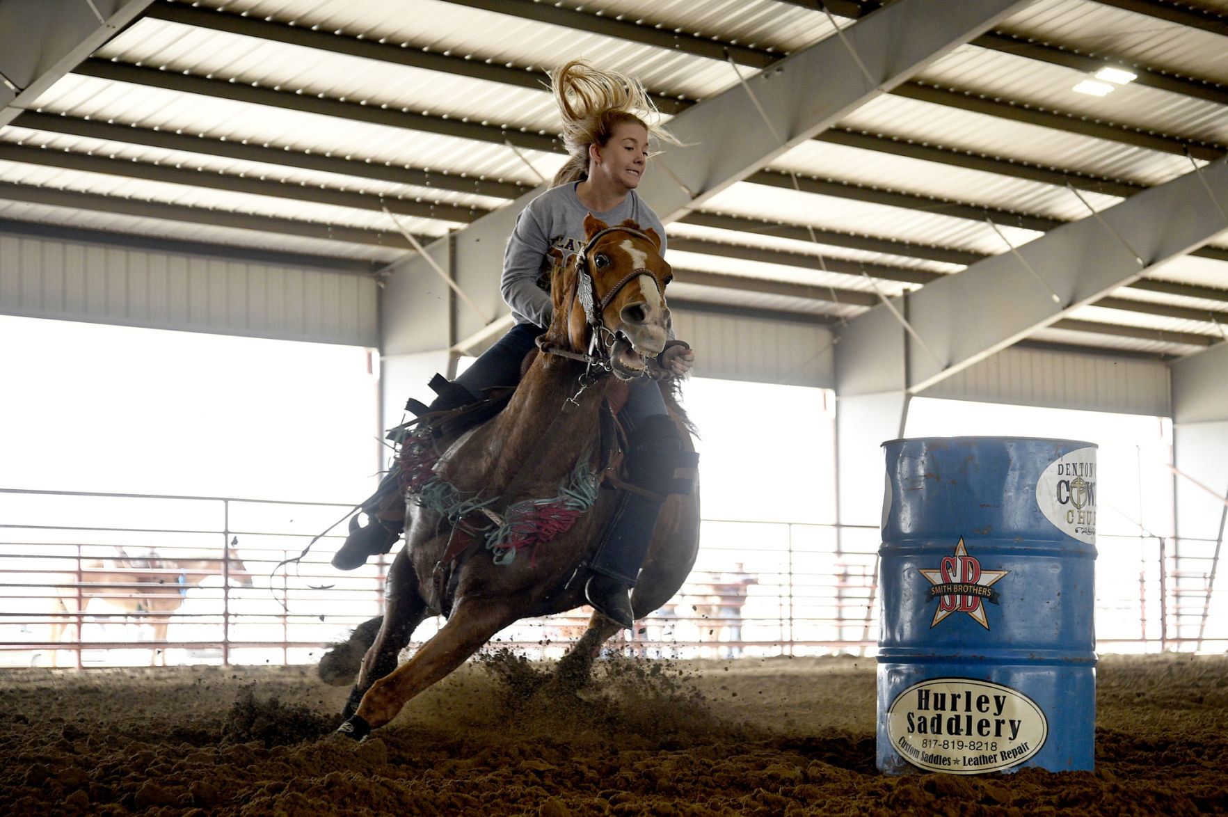 Horse show